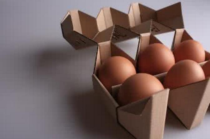 鸡蛋包装设计风格